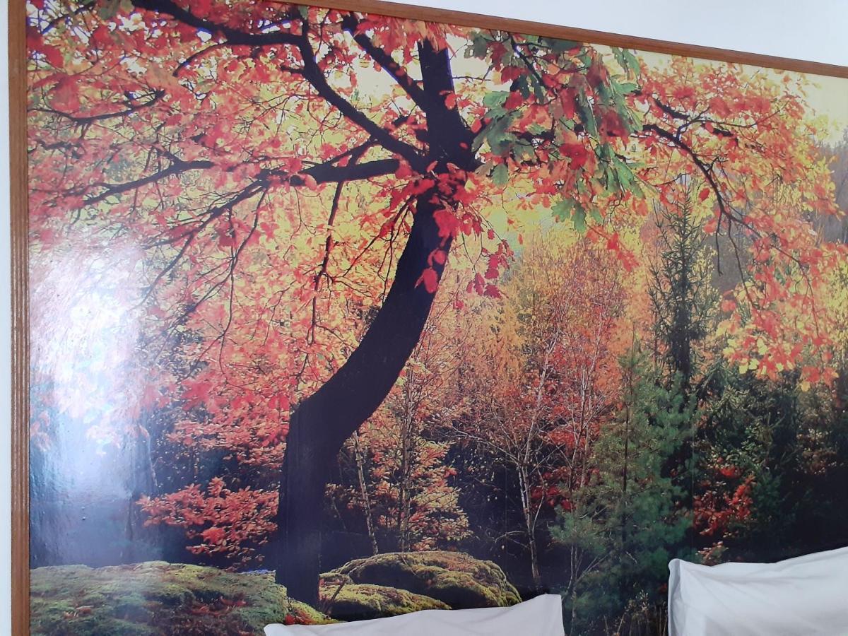 Pousada R.N.C. Nosso Paraiso เตเรซอโปลิส ภายนอก รูปภาพ